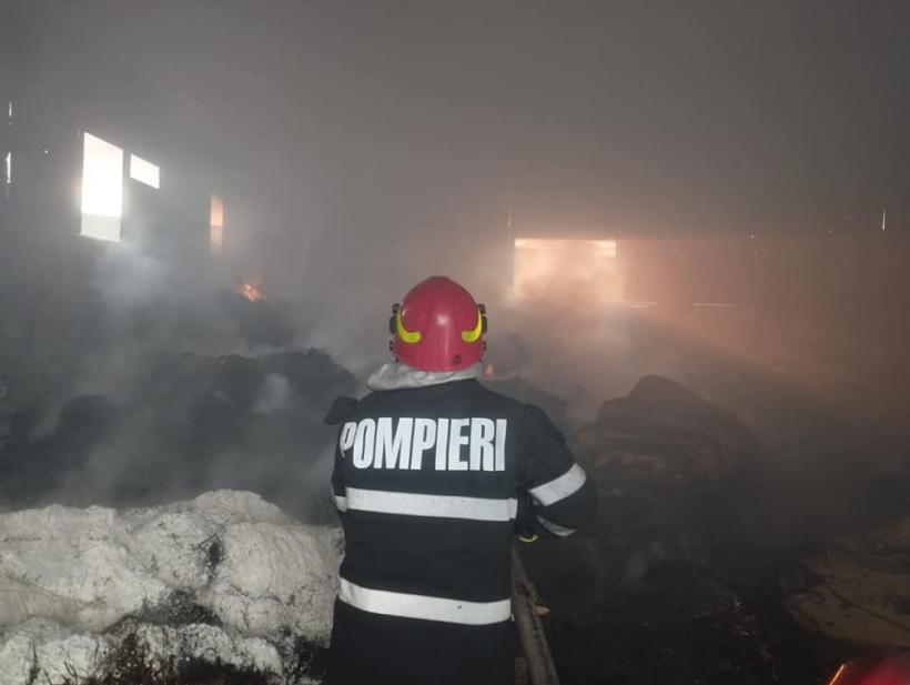 Incendiu uriaș la o fermă de păsări din Vaslui 18841777