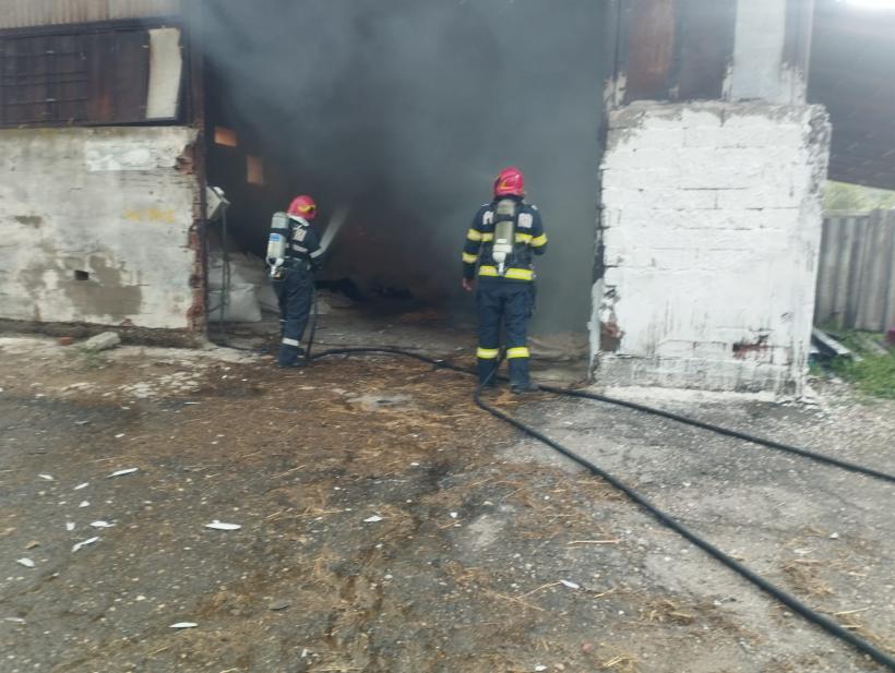 Incendiu uriaș la o fermă de păsări din Vaslui 18841778