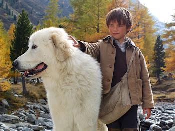 TIFF Education: filme, ateliere și super distracție pentru copii 18841660