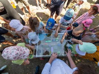 TIFF Education: filme, ateliere și super distracție pentru copii 18841669