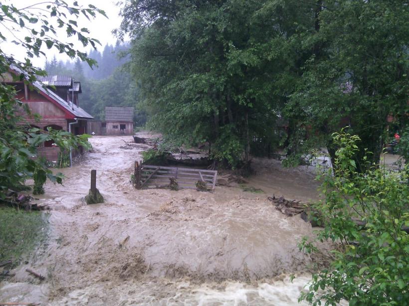 Ploaia torenţială a făcut ravagii, în Timișoara! Zeci de gospodării au fost inundate