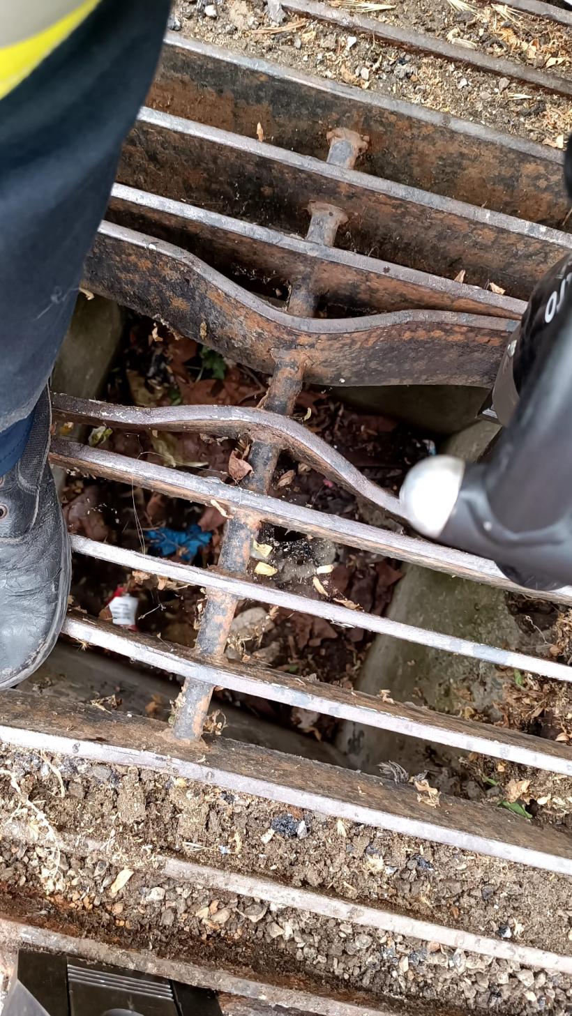 Pompierii constănțeni au salvat... 10 rățuște blocate 18842062