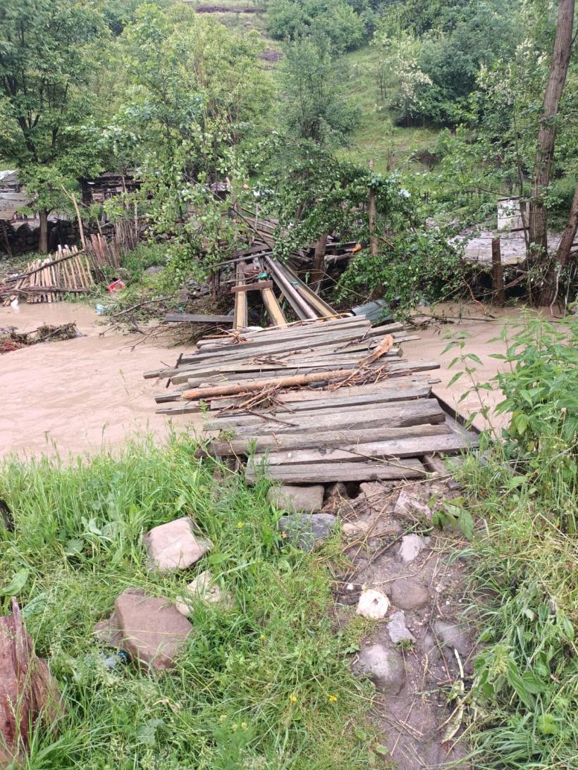 Vremea a făcut ravagii în Arad 18842464