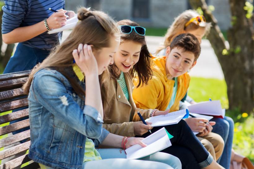Ministerul Educaţiei a actualizat calendarul examenului de certificare a calificării absolvenţilor învăţământului liceal (filiera vocaţională)