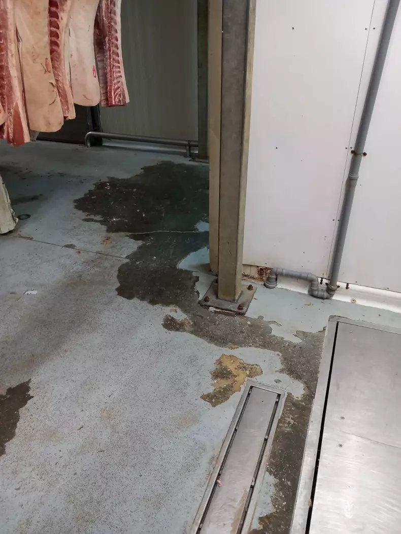 Fabrică de mezeluri din Ilfov, închisă de ANPC. Condiții insalubre de procesare a cărnii 18842528