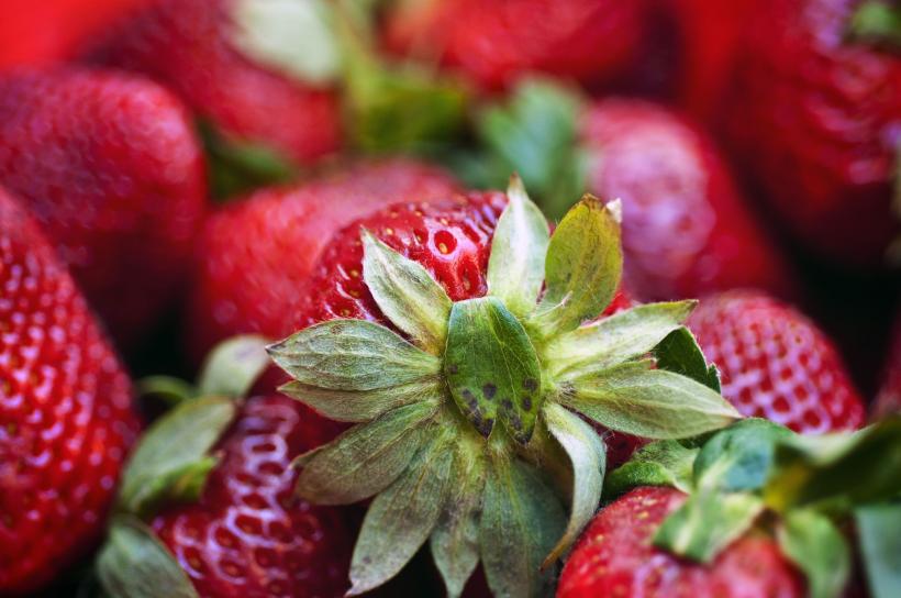 Cum obții căpșune dulci în grădina ta. Soluția simplă pentru fructe aromate
