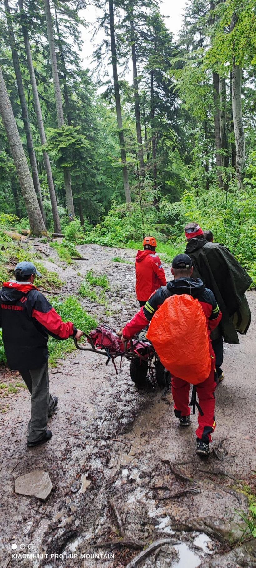 O turistă a suferit fracturi după ce a alunecat pe drumul spre Cascada Urlătoarea 18842796