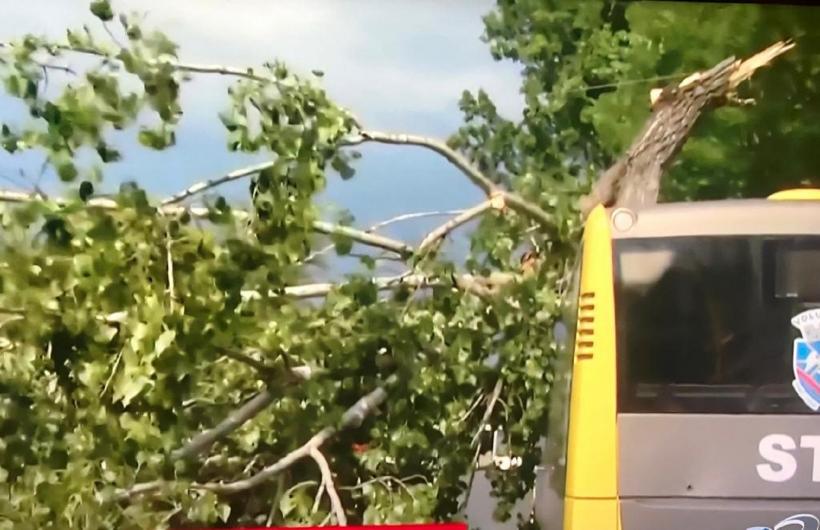 Cod galben de vânt puternic în județele Ialomița, Buzău și Vrancea 18842859