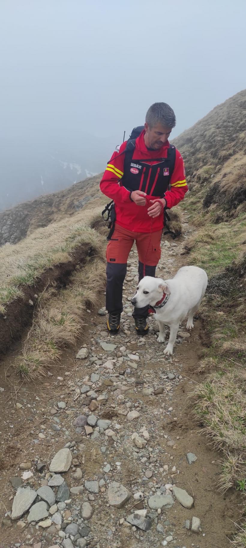 Căzut într-o prăpastie: Acolo unde niciun om nu a scapat cu viață, un câine a fost recuperat de salvatori 18843071