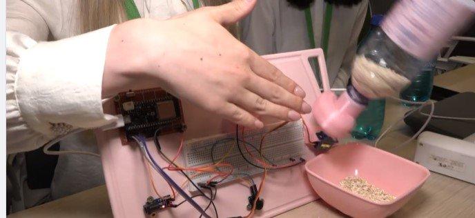 Un student din Cluj Napoca a inventat pantofii care pot încărca telefonul mobil în timpul mersului 18843139