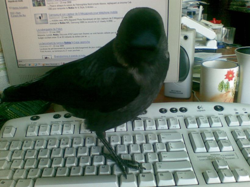 Jurnalul 30 de ani! Îmblânzitorii de păsări de la 8, soldații Galaxiei Gutenberg 18843428