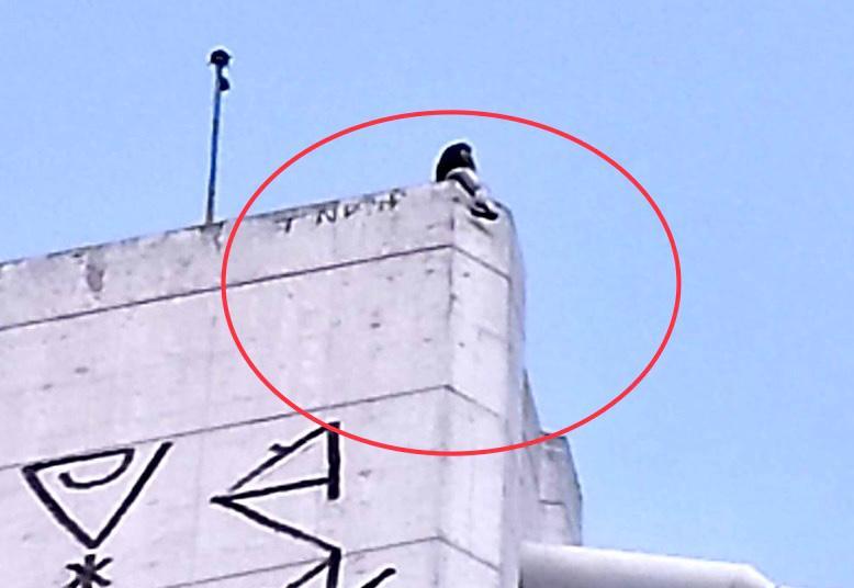 UPDATE: Bărbatul care amenința că se aruncă de pe Podul Basarab a fost convins să coboare 18843848