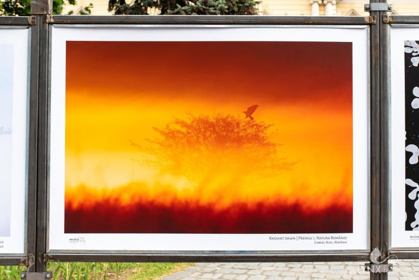 Peste 1.000 de spectatori, proiecții sold-out și întâlniri memorabile la prima ediție LYNX Festival. Regina de catifea este documentarul care a primit Premiul Publicului 18844004