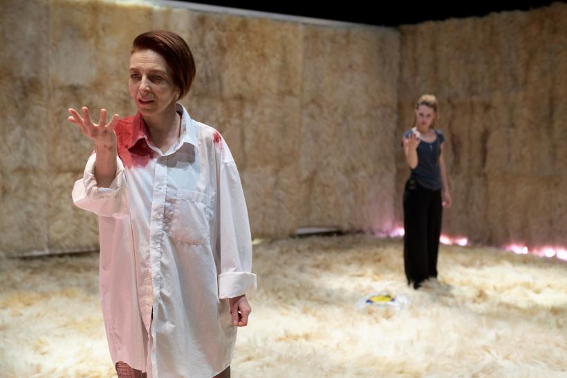 Elektra – ultima premieră a stagiunii la Teatrului Maghiar de Stat Cluj! 18843683