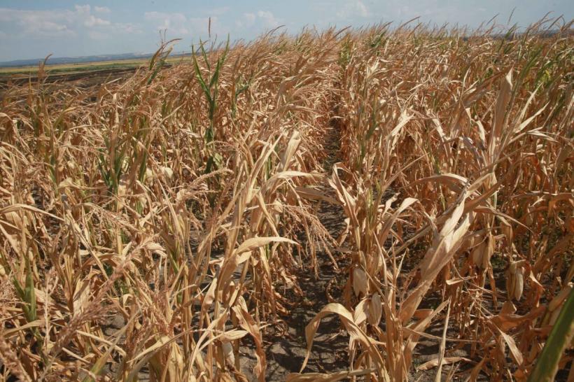 Suntem primii în UE la deșertificare și inundații 18844280