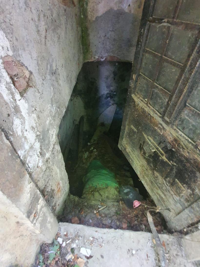 Invazia gherțoilor în Cimitirul Bellu 18844434