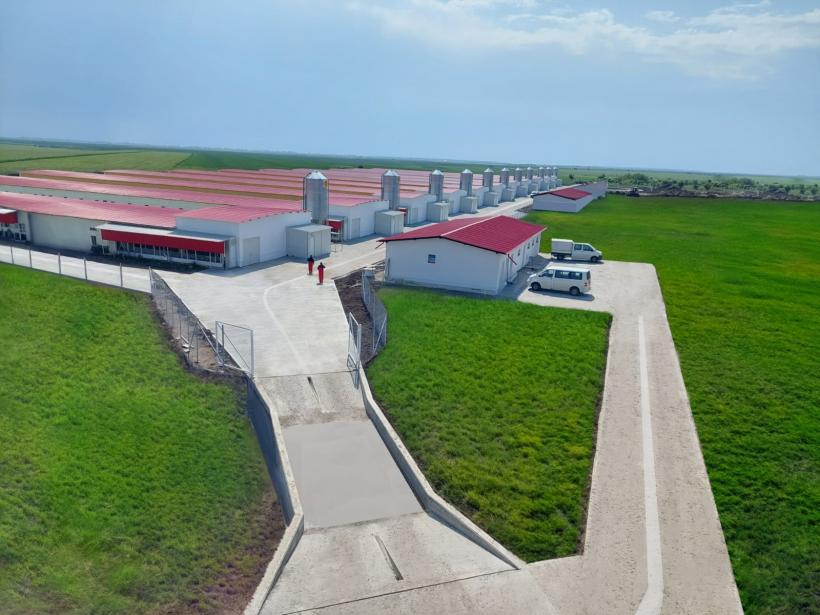 Investiție Carmistin de 8 milioane euro în cea mai mare și modernă fermă de creștere a păsărilor din județul Olt