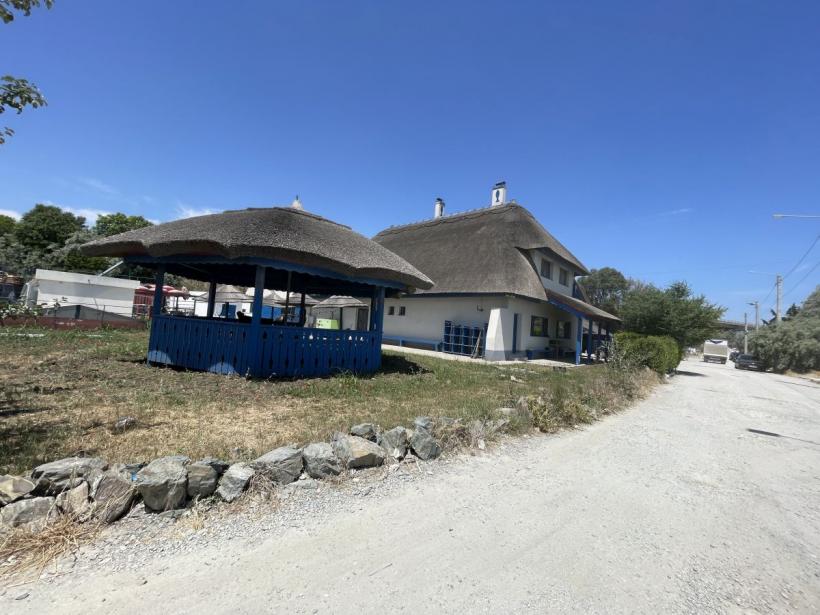 „Operațiunea Caracatița”: Cum a fost devalizată industria peștelui din România 18844862