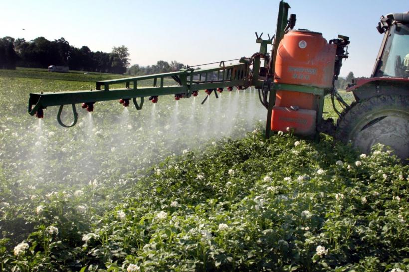 Strategie alimentară românească: producem bio, mâncăm pesticide