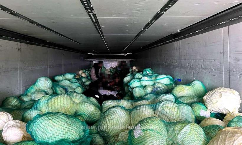 Frontiera Giurgiu: 28 de cetățeni sirieni au fost descoperiți într-un camion cu varză 18845342