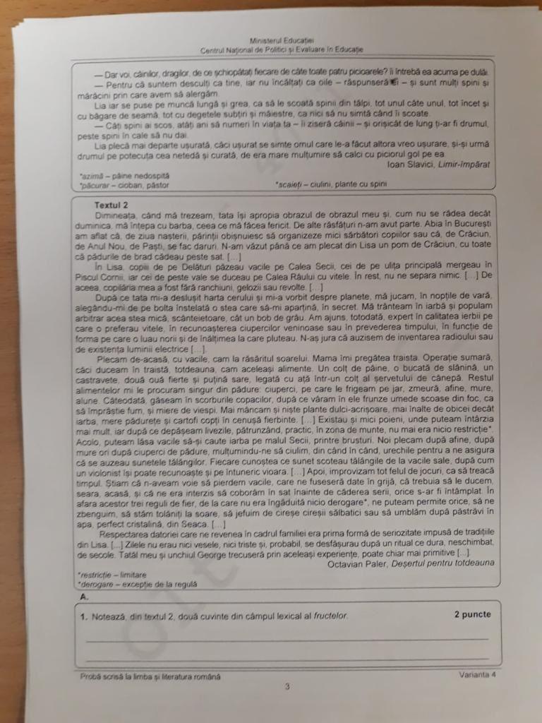 Subiecte Evaluare Națională 2023. Ce au avut de rezolvat elevii 18845591