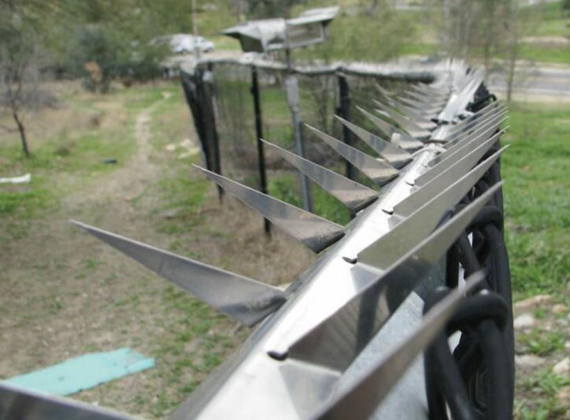 Război într-o închisoare de femei din Honduras. 41 de deținute au murit 18845975