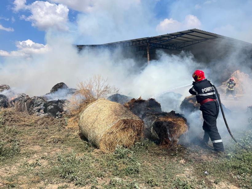 Incendiu de proporții: Ard 1000 de baloți de lucernă în județul Tulcea