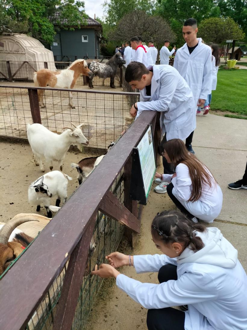 Bani din PNRR pentru liceele agricole. Mai multe locuri în anul școlar 2023-2024. Practică în state UE 18846316