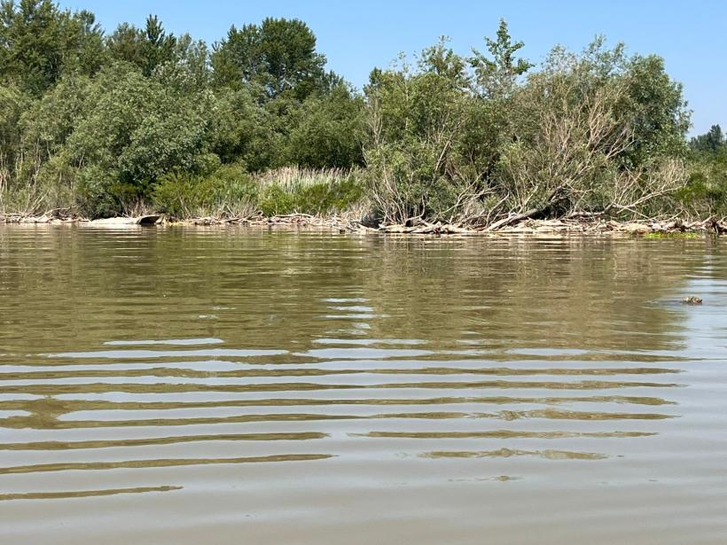 Unda de poluare formată anterior pe Dunăre în zona Cělarevo (Serbia) a fost stopată înainte de a ajunge la granița României 18846295