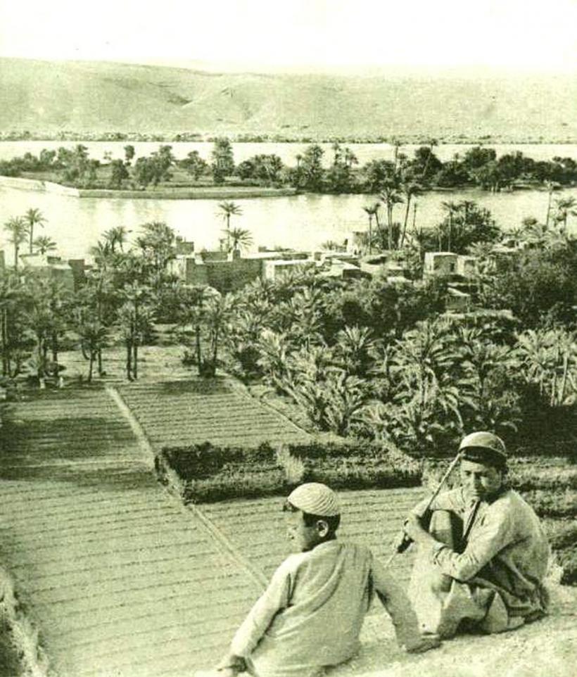 Rai - de la cine au preluat românii promisiunea desfătării eterne? 18847006