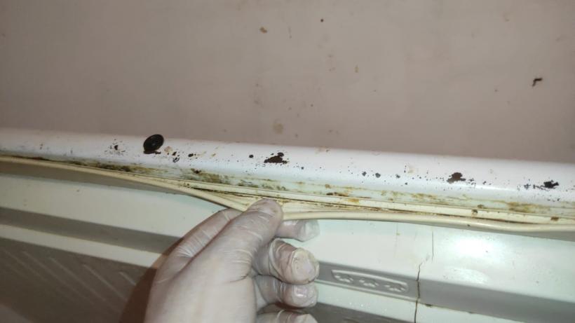 Nenorocire la un restaurant din Costinești! Turiștii sunt serviți cu gândaci, mizerie, mucegai și produse expirate 18847334