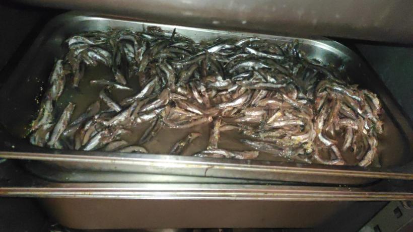 Nenorocire la un restaurant din Costinești! Turiștii sunt serviți cu gândaci, mizerie, mucegai și produse expirate 18847335