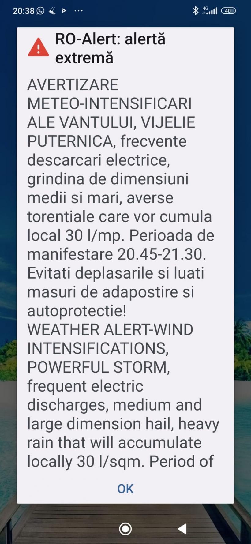Ploaia a făcut ravagii în Capitală. Copaci puși la pământ și mașini avariate 18848432