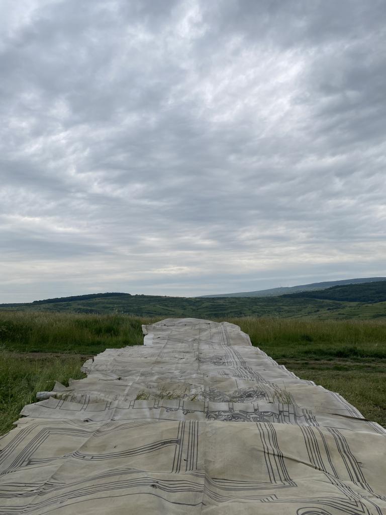 Ordinul Arhitecților din România participă, cu stand propriu, la Congresul Mondial al Arhitecților UIA de la Copenhaga, cu sprijinul Institutului Cultural Român 18848329