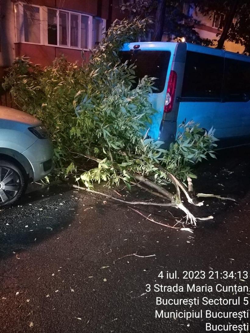 Piedone, mesaj exploziv pentru Nicușor Dan: Arborii bătrâni au făcut pagube. De ce nu ați avizat cele 7.000 de cereri de toaletare sau defrișare? 18848640