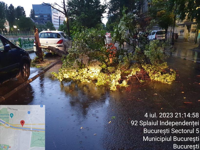 Piedone, mesaj exploziv pentru Nicușor Dan: Arborii bătrâni au făcut pagube. De ce nu ați avizat cele 7.000 de cereri de toaletare sau defrișare? 18848643