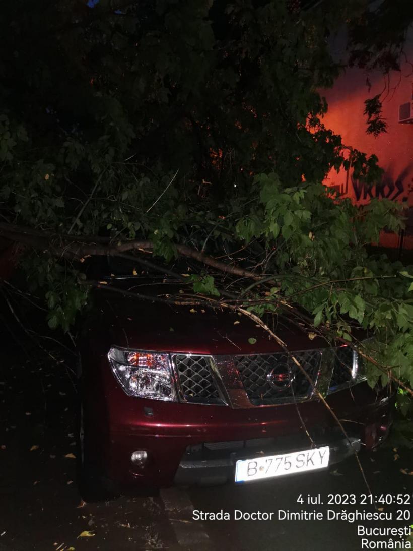 Piedone, mesaj exploziv pentru Nicușor Dan: Arborii bătrâni au făcut pagube. De ce nu ați avizat cele 7.000 de cereri de toaletare sau defrișare? 18848645