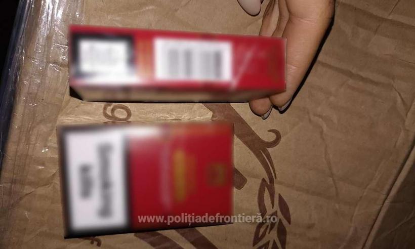 Captură impresionantă la Negru Vodă. Ţigări de contrabandă în valoare de peste 600.000 euro 18848559