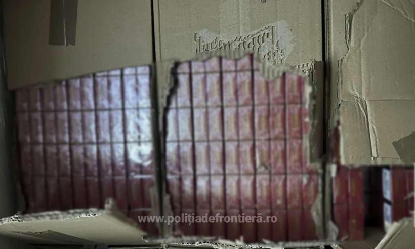 Captură impresionantă la Negru Vodă. Ţigări de contrabandă în valoare de peste 600.000 euro 18848560