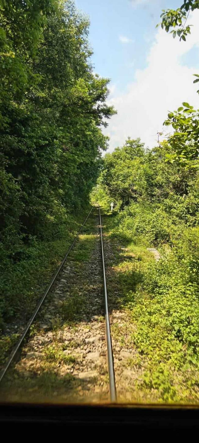 Calea ferată „își taie vârfurile” 18848613