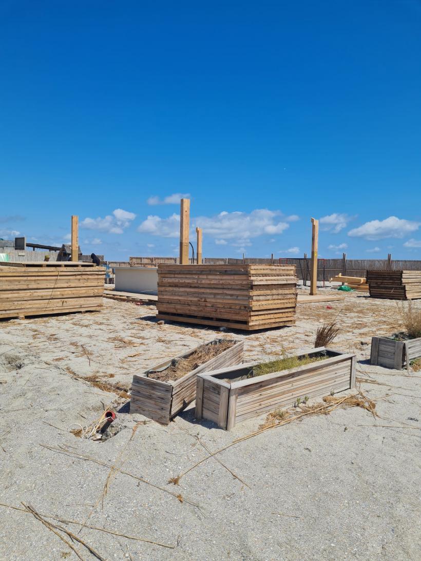 Scandal total pe plaje 18848712