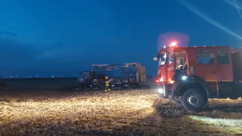 80 de stupi de albine au ars într-un incendiu din județul Constanța! 18848877