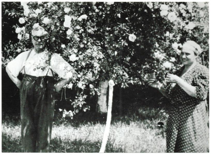 Tudor Arghezi, maestrul scrisului „pe dedesubt” 18848746