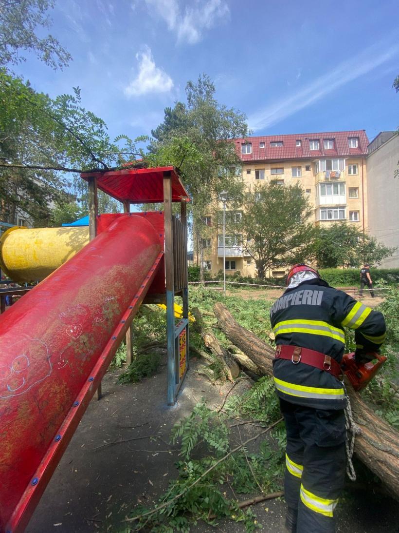 Copil de 10 ani, rănit de un copac căzut în zona unui spațiu de joacă din Suceava