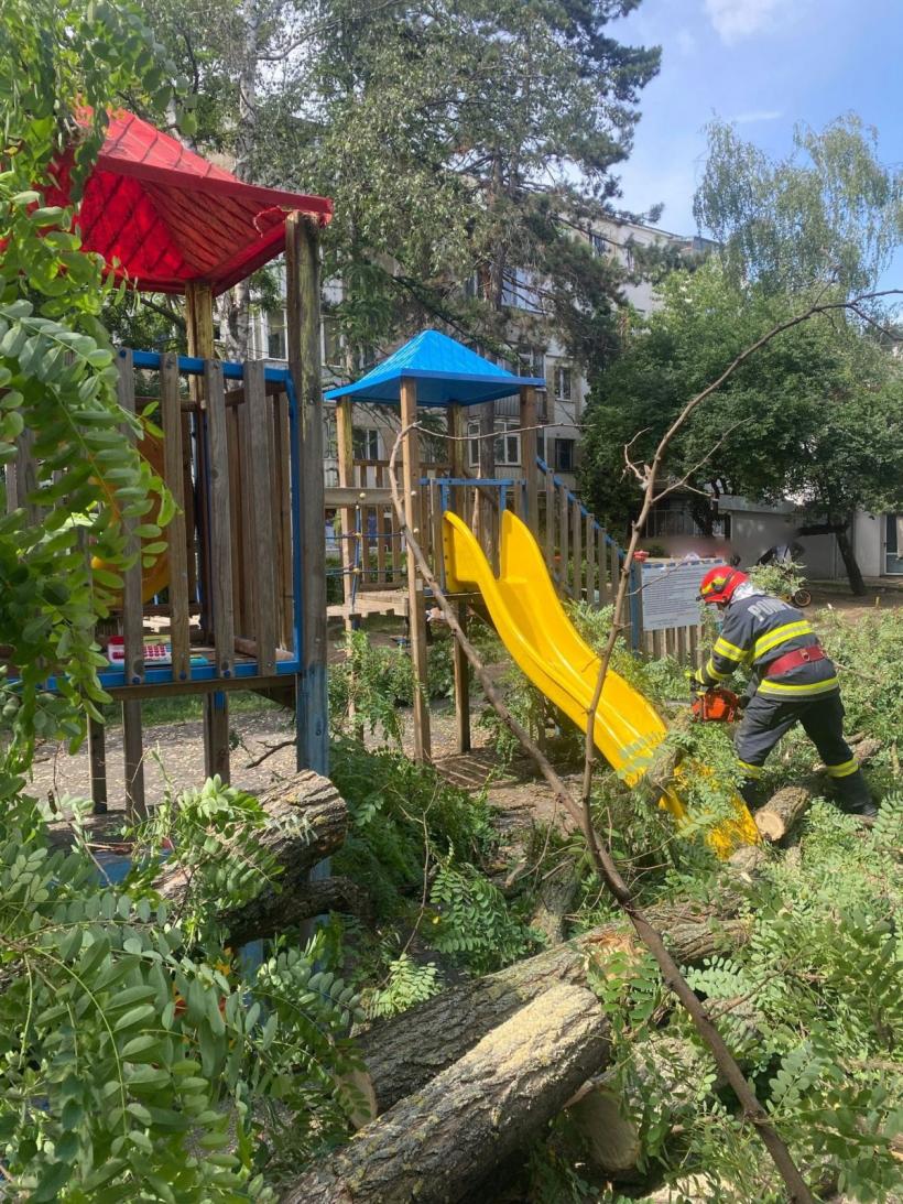 Copil de 10 ani, rănit de un copac căzut în zona unui spațiu de joacă din Suceava 18849052
