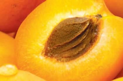 Caise în rețete delicioase: Amaretti, Fruktsoppa sau Gomboți 18849072