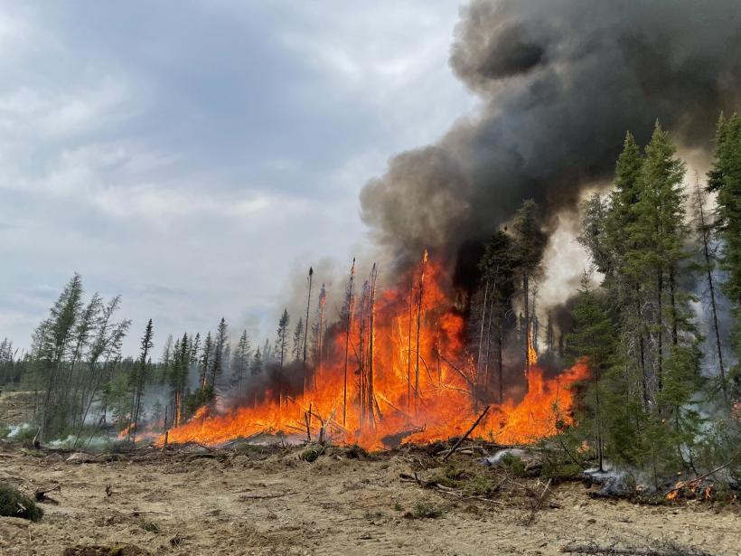 Peste 600 de incendii forestiere devastatoare în Canada. 155.000 de oameni și-au părăsit locuințele 18849083