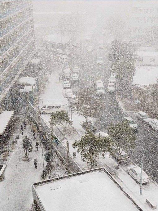 Lumea în imagini: Ninsoare puternică în Africa de Sud în iulie 2023. Fenomenul rar a scos oamenii la zăpadă 18849363