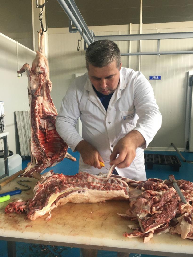 Poveste din Țara ghiudenului 18849818