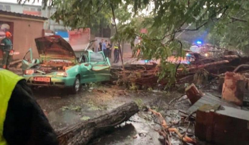 Piedone îl somează pe Nicușor Dan, după ce un bărbat a fost rănit într-o mașină strivită de un copac 18849901